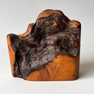 Boogie Beach Yellow Cedar Burl Keepsake Box Sculptural Driftwood Jasun Pelletier